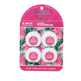 4pk Minty Watermelon Dental Floss