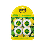 4pk Minty Lemon Dental Floss