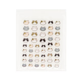 100 Count Kitty Cat Hydrocolloid Acne Patches