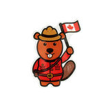 Bandage Display - 4 Styles (24 Count)