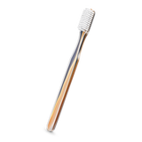 Gold Toothbrush