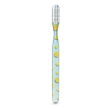 Zesty Toothbrush